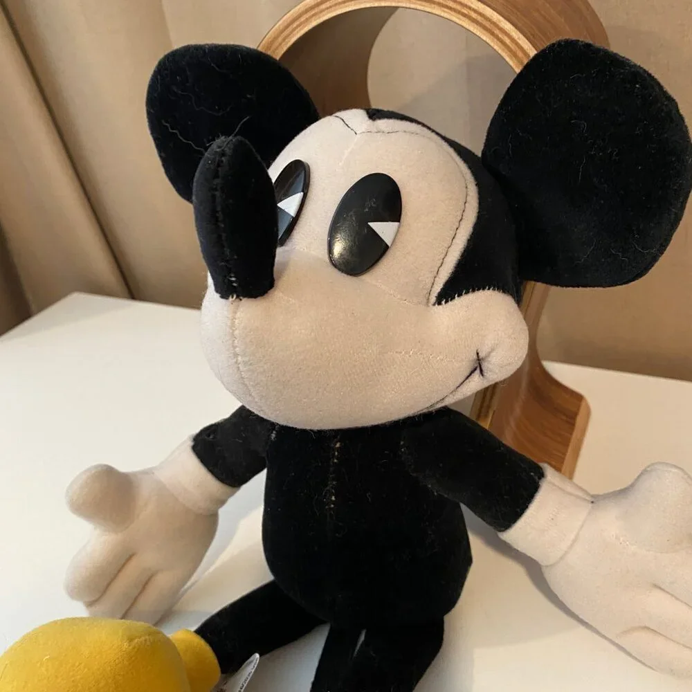 Disney bring home